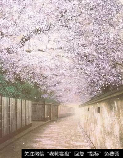 花开一季,芳香四溢