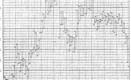 专家解读人西洋湾西印度群岛股