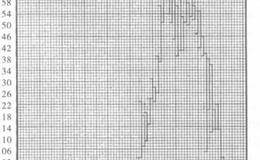 专家解读美国熔炼公司的走势