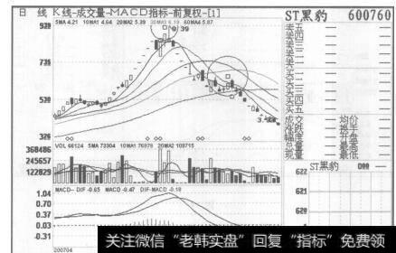图13ST黑豹2007年4月13日至2007年7月5日的日K线图