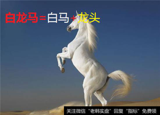 白马<a href='//m.sasasearch.com/gushiyaowen/289750.html'>龙头股</a>