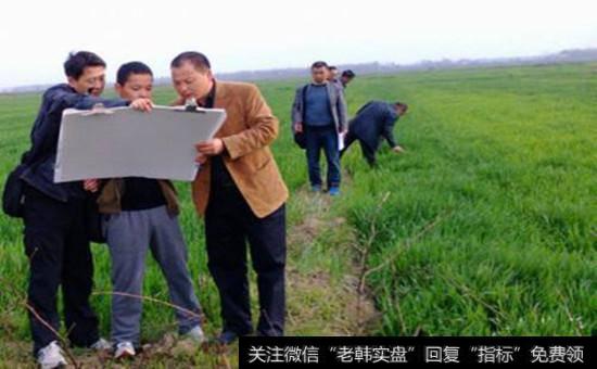 土地确权<a href='//m.sasasearch.com/gainiangu/'>概念股</a>