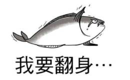 5亿撬动224亿 国风投入局能否让<em>海虹控股</em>翻身?