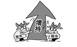 控股股东抛增持计划 大连电瓷复牌仍跌停