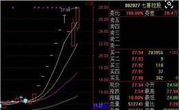 庄控股特点是什么？