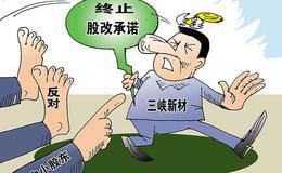 <em>海虹控股</em>的股改承诺:追根溯源,寻找潜力标的