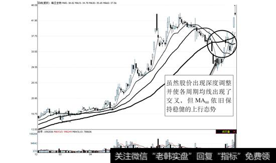 <a href='//m.sasasearch.com/redianticai/280917.html'>海王生物</a>2009年2月5日—9月8日走势图