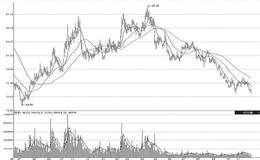 华体会赛事竞猜操盘的股票特征