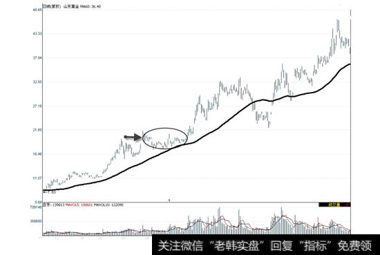 山东黄金2008年11月—2009年12月走势图