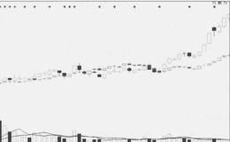 连续缩量创新高逆势解读
