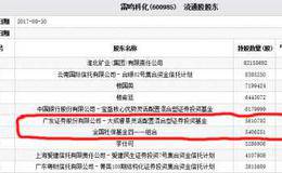 <em>雷鸣科化</em>蓝色光标聚会跌停板 大成基金惨亏血泪涟涟