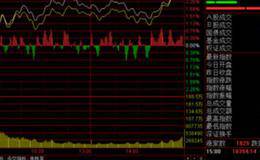 资本结构分析、经营效率分析
