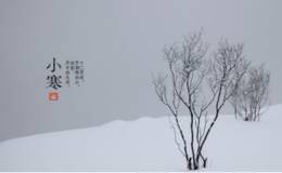 1月5日涨停板复盘：<em>泰禾集团</em>12天暴涨70%  气势直逼贵州燃气！   