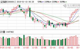 持续逼空沪指走出“八连阳 ”私募：今年炒股“喝酒吃药”五个方向
