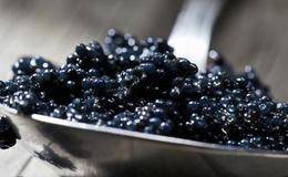 这一材料被称为“黑色黄金” 大批华体会赛事竞猜正加快布局(名单)