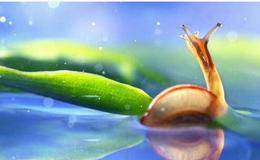 为什么投资高手的预测准确度如此之高?