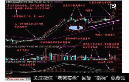 散户<a href='//m.sasasearch.com/ljfxsz/232925.html'>出货图</a>