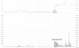 <em>海王生物</em>经典分时走势看盘和操作策略解析