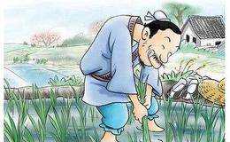 股市操作切莫急于求成