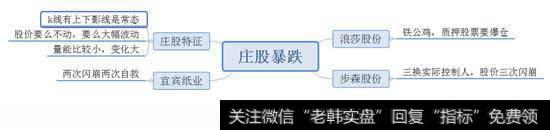 庄股暴跌的案例
