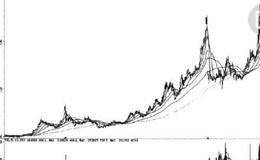 公司的财务分析的内容