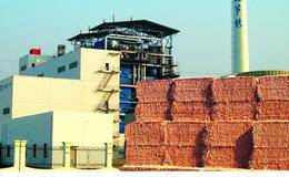 “百个城镇”生物质热电联产示范项目启动行业迎来发展良机 生物质能源题材概念股受关注