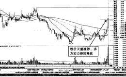 低开后阶段拉升尾盘涨停——<em>氯碱化工</em>