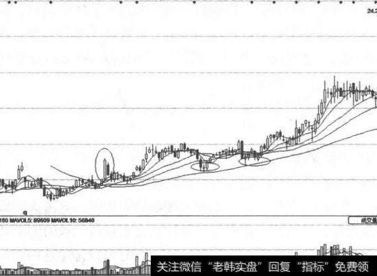 洽洽食品(002557)托底线图