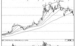 MACD指标高位顶背离产生的原因及判断