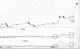 “XDQD+VXDQD”组合案例解析