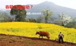 涨停板预测:我国农业落后美国60年？参考美国发展 这三大方向腾飞在即