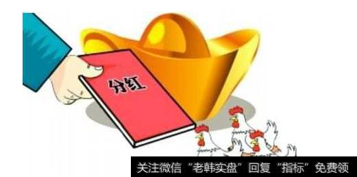 华体会赛事竞猜应选择在什么时间给股东分红？