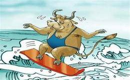 什么是资产管理使用效率分析？