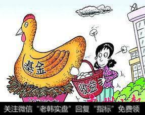 什么是基金?基金怎么看?