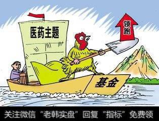 你是怎么挑选基金进行投资的，用的哪几个指标进行对比挑选的？