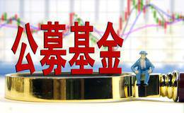 公募基金密集下调<em>停牌股</em>估值