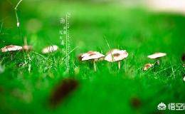 如何把握和学习使用波段操作法？