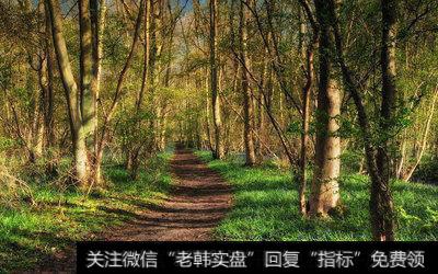 怎样<a href='//m.sasasearch.com/cgjq/290242.html'>炒股</a>不被套牢?