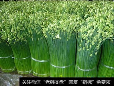 辛辛苦苦赚的钱，去<a href='//m.sasasearch.com/cgjq/290242.html'>炒股</a>被割韭菜是什么体验？