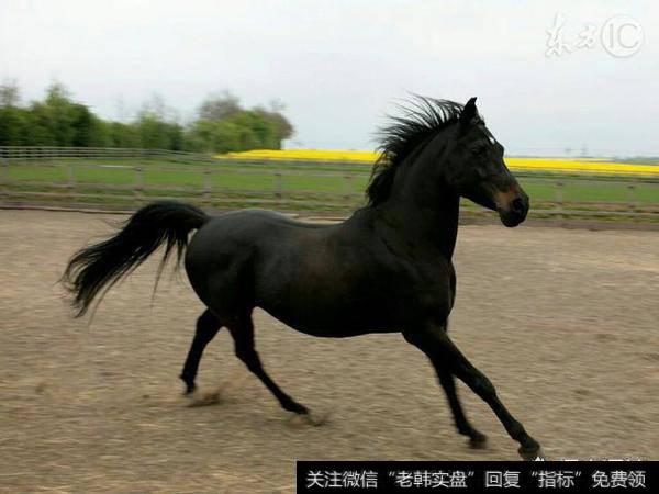 创业板市场的模式如何定位?