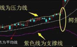 什么是布林指标？用布林指标选股需要重点关注哪些要素？