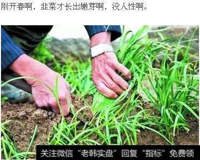 3月16日,股指集体下挫,独角兽概念逆势推升,独角兽概念的火爆能持续多久?