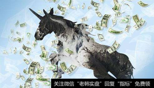 如何投资独角兽概念企业?