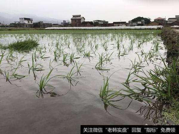 你眼中的新零售是有什么特点?