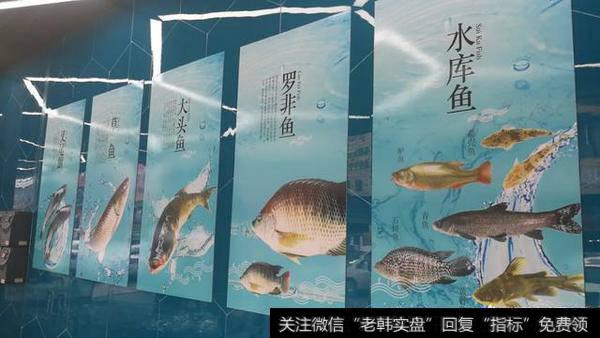 你眼中的新零售是有什么特点?