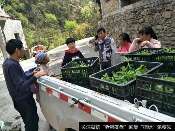 你眼中的新零售是有什么特点?