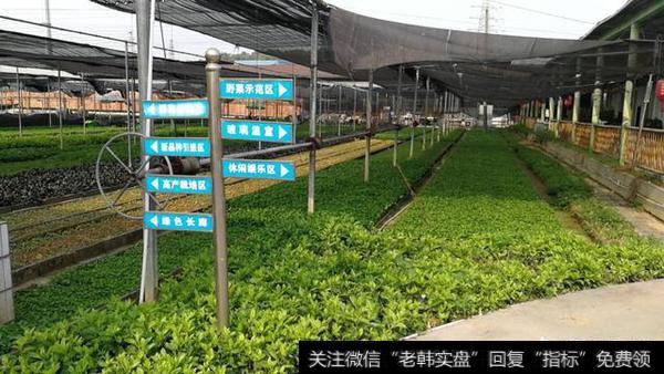 你眼中的新零售是有什么特点?