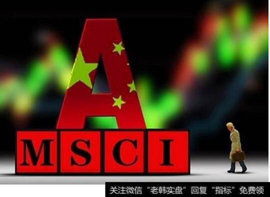 杨德龙<a href='//m.sasasearch.com/caijunyi/290233.html'>股市最新消息</a>,A股“入摩”之后有哪些重要投资机会