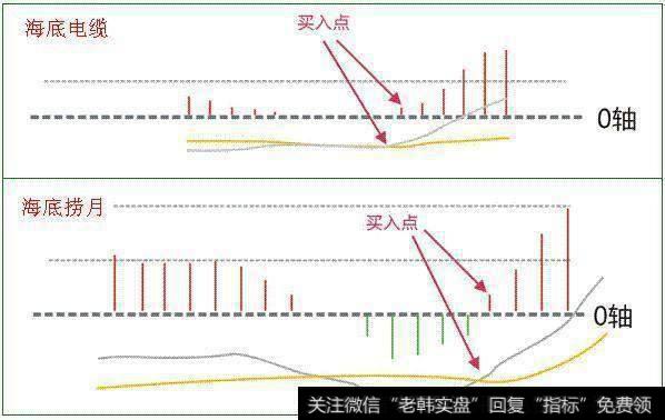 海底捞月