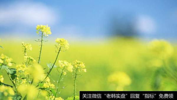 <a href='//m.sasasearch.com/zhangtingban/'>涨停板</a>预测